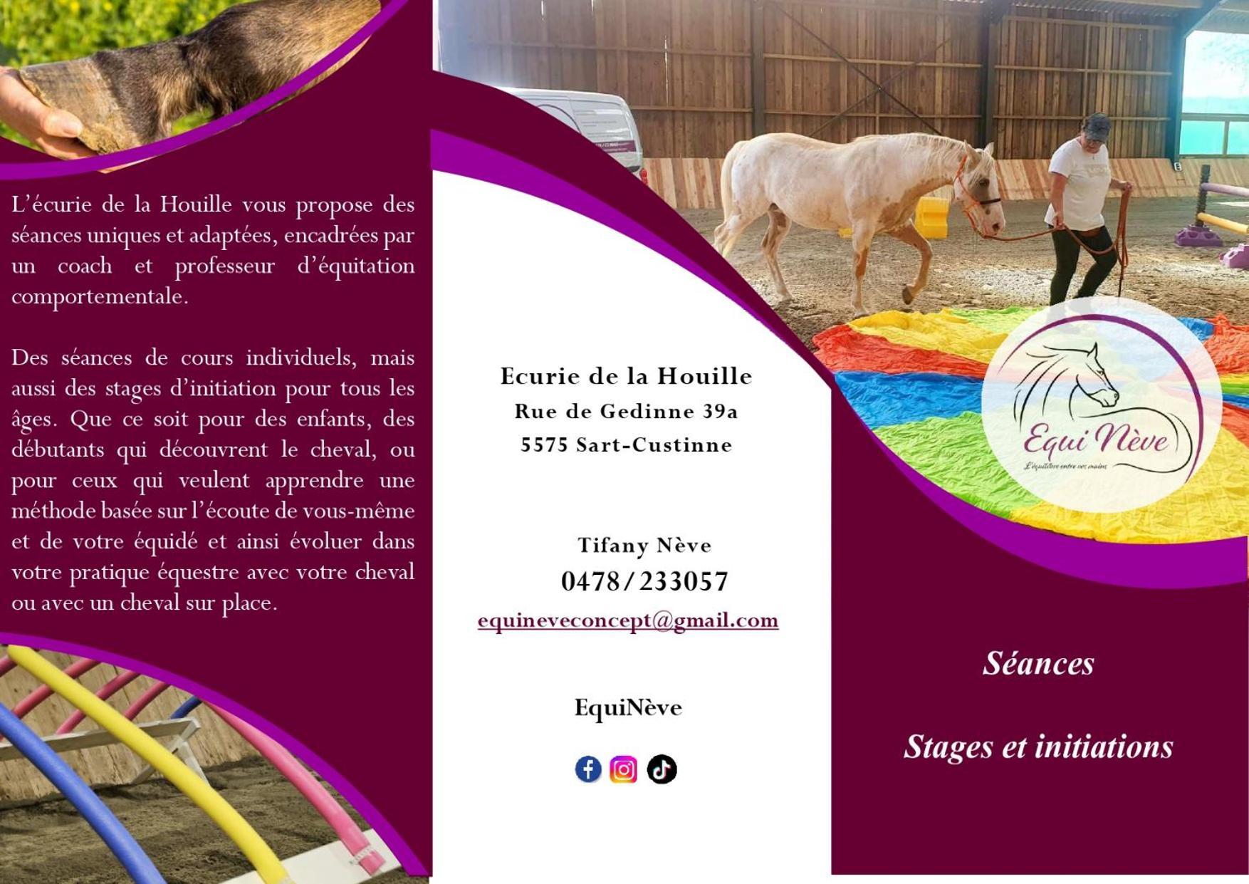 Вілла Le Relais De La Houille Sart-Custinne Екстер'єр фото
